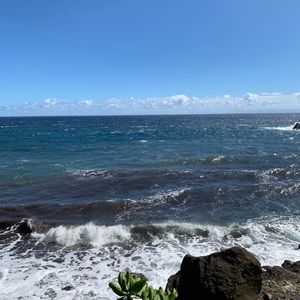 Meet your Posher, Ava